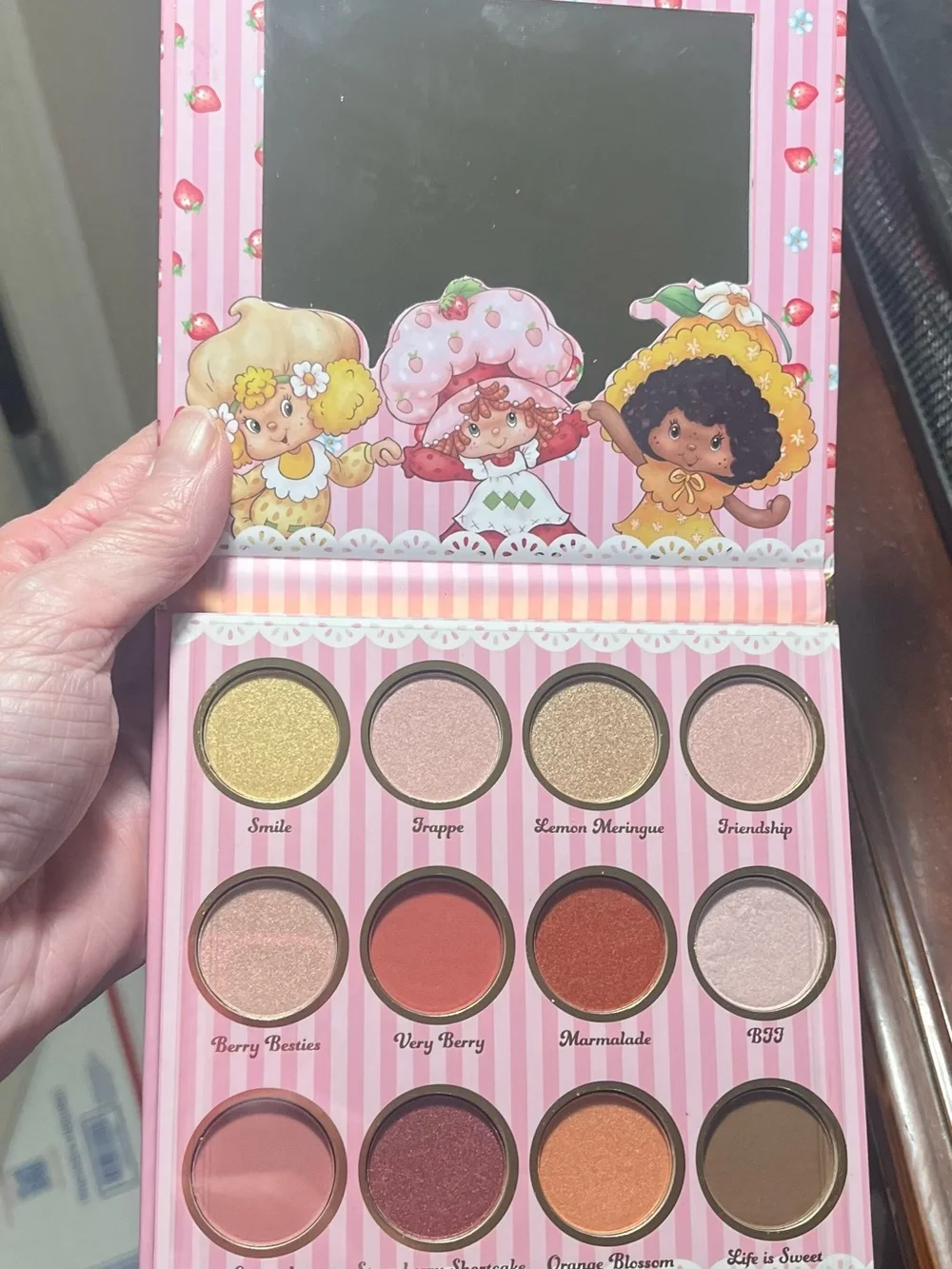 Strawberry Shortcake Eyeshadow Palette - 12 Shade Women Makeup- NIB